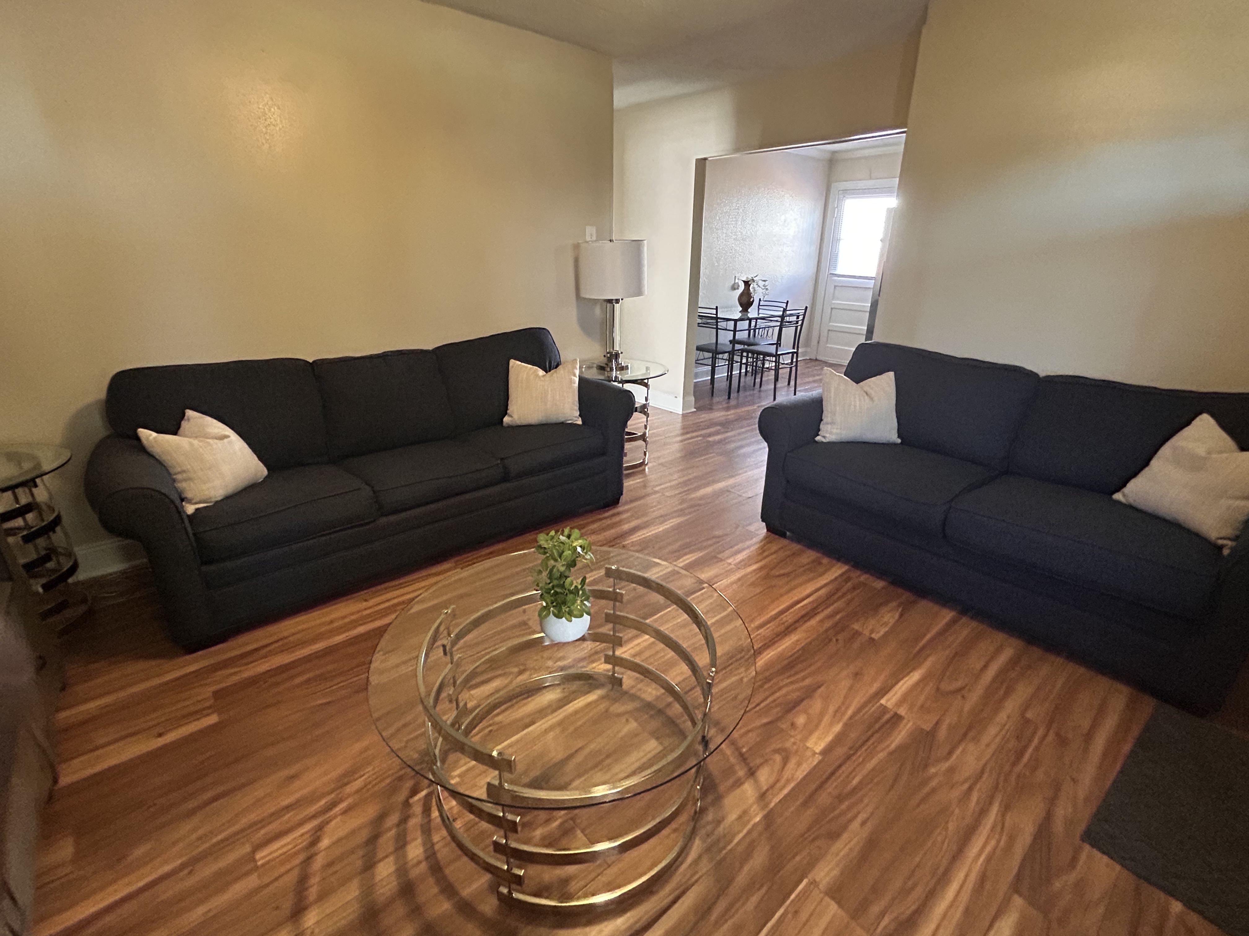 Furnished living and dining thumbnail